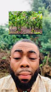 Adam A Zango Hastari Official 2025