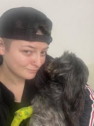 Stray cat gets second chance at life