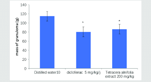 Image result for Tetracera alnifolia
