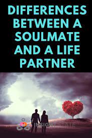 Soulmate Vs Life Partner Comparison Of Signs And Traits Life Partners Life Partner Quote Soulmate