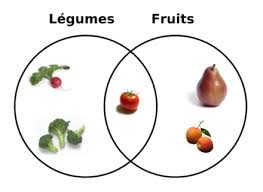 Fruit Definition Et Explications