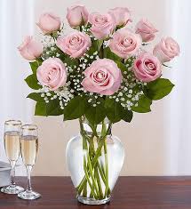 Hydrangea paniculata pink and rose. Dozen Light Pink Rose Vase Royalty Flowers