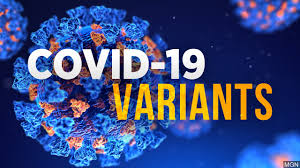 Updated 06/26/19 marc hoberman / getty images located on south africa's northeast coast, du. How Uk South Africa Coronavirus Variants Escape Immunity Latest News Texas Advanced Computing Center