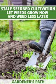 How to weed your garden. Weed Your Garden Less With Stale Seedbed Cultivation Gardener S Path