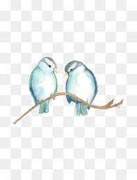 Read more gambar burung cililinformat png : Burung Unduh Gratis Lukisan Cat Air Menggambar Ilustrasi Tangan Berwarna Parrot Burung Splash Gambar Png