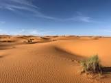 موقع فكرة