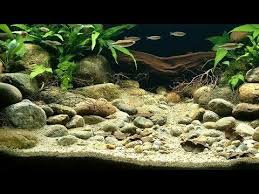 Us $76.63 3% off|aquarium fish tank artificial landscape rockery water fountain with ball. Badc 2018 Youtube Aquarium Fish Tank Aquarium Landscape Biotope Aquarium