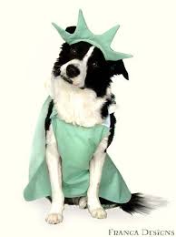 Pin By Kristin Hazen On 4th Of July Pet Costumes Funny Animal Photos Pet Holiday