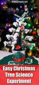 An Easy Christmas Science Experiment For Kids Grow Snow On A Tree Christmas Science Christmas Science Experiments Science Experiments Kids