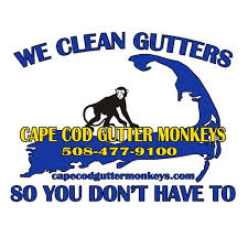 Sully 'steven' seagull (как sully 'steven' seagall). Cape Cod Gutter Monkeys Sully The Seagull Commercial By Matt Barry 1