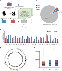 an analysis of aging related genes derived from the genotype