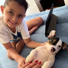 Jax 🐶🐾🐕- Canil Jax Royal ❤️🐶 (@jax_jrt) · Instagram 照片和视频