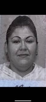 Who steals trash cans!?