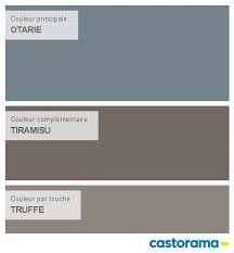 Castorama Nuancier Peinture Mon Harmonie Peinture Otarie Satin De Colours Collection Peinture Bleu Petrole Nuancier Peinture Peinture Bleu