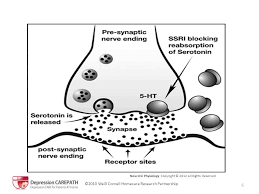 Known as the happy chemical, it may help prevent depression. Mini Lecture Use Of Ssri S In Depression Youtube