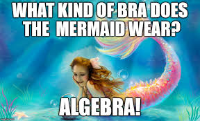 Bad Mermaid Pun Imgflip