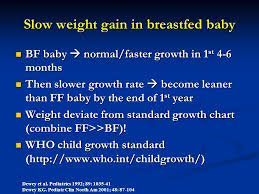 Breastfeeding To Prevent Double Burden Of Malnutrition Ppt