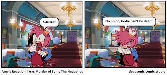 Amy's Reaction | /srs Murder of Sonic The Hedgehog - Comic Studio