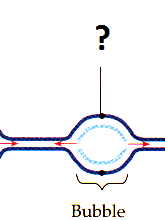 Relevant to dna replication worksheet answer key, choosing to incorporate an answering services into your company is really an operation that typically involves a quality deal of risk and even larger expenses. Dna Replication Flashcards Quizlet