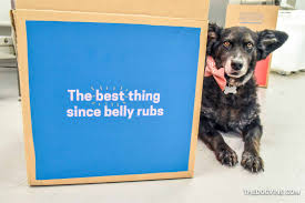 Explore tweets of butternut box @butternutbox on twitter. What Did Ned From All Dogs Matter Think Of Butternut Box