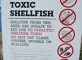 Image result for Paralytic Shellfish Poisoning