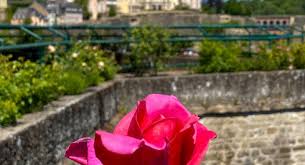 You and your family can rely on our years of experience to provide the most dignified and memorable funeral service for your loved one. Rose Garden Op De Rondellen Visit Luxembourg City