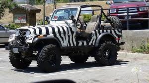 I Need This Now 3 Safari Jeep Zebra Painting Jeep
