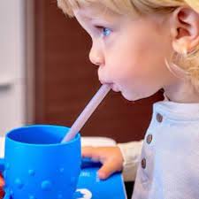 Marcus & Marcus Silicone Straws & Brush Set