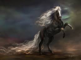 Check spelling or type a new query. 1600 Horse Hd Wallpapers Background Images
