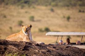 We provide live weather, forecasts and averages for kenya towns and cities. Kenya In January Travel Tips Weather And More Kimkim