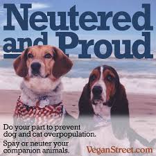 Choose from thousands of designs or create your own today! Please Spay Neuter Your Pets Animals Funny Animal Cute766