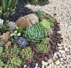 Cactuses are amazing plants and can help to make your front yard to stand out. Backyard Or Front Yard Succulent Garden Ideas Tuffarm Com Home And Garden Design Ideas