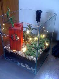 Et Voila Comment Recycler L Aquarium Des Poissons En Bac A Plantes Zen Fish Tank Garden Aquarium Decor Fish Tank Design