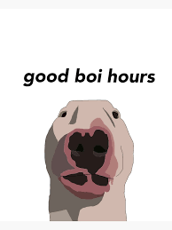 good boi hours