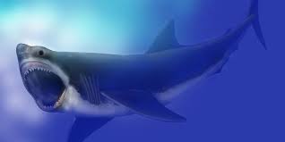 Dihalaman ini anda akan melihat gambar hewan cerita yang keren! Apakah Hiu Raksasa Megalodon Masih Hidup Halaman All Kompas Com