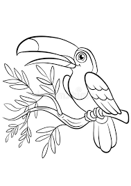 You can use our amazing online tool to color and edit the following toucan coloring pages. Coloring Pages Birds Little Cute Toucan Stock Vector Illustration Of Bird Beak 71205088
