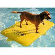When your dog needs to be. Gail Force Connectable Fido Float Overton S Dog Pool Floats Diy Dog Stuff Sporting Dogs