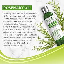 This reduces hair fall while simultaneously stimulating hair growth as well. Hair Growth Anti Hair Loss Sulfate Free Shampoo Rosemary Lemongrass Alopecia Prevention And Dht Blocker Doctor Developed New 2018 Formula Pricepulse
