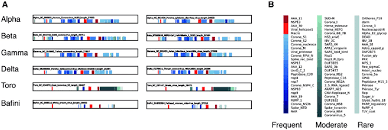 Now that you have read about alpha, beta, and omega personality traits, here's the fourth type. The Distribution Of Pfam Domains Across Coronaviridae Genera Panel A Download Scientific Diagram
