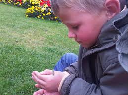 Sam Patterson overcomes challenges to take first place in Northern Ireland  YRE competition — Foundation for Environmental Education