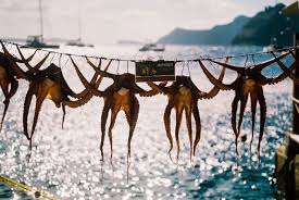 According to religious resources regarding halal and haram meat, there are general rulings and numerous standards; Millions Of People Eat Octopus Here S Why We Shouldn T The European Sting Critical News Insights On European Politics Economy Foreign Affairs Business Technology Europeansting Com