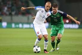 .l'euro 2016 par le conseil fédéral de la fff, le stadium de toulouse et le stade geoffroy. All You Need To Know About Euro 2016 Football News Top Stories The Straits Times