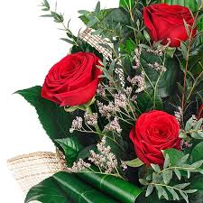Donna ansimante sorpresa e felice, riceve un regalo a sorpresa dall'amante, tenendo in mano il mazzo di rose rosse, in piedi su sfondo bianco. Regalare Mazzo Rose Rosse San Valentino