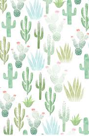 How to grow a cactus. Cacti Wallpapers Wallpaper Cave