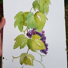 We did not find results for: Pin On Fruits