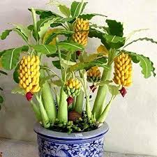 Pin Auf Garten