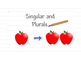 Information and translations of singular in the most comprehensive dictionary definitions resource on the web. English Corner Singular And Plural Nouns The Life And Times Of Ben Weinberg