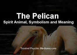 The Pelican Spirit Animal A Complete Guide To Meaning And Symbolism Spirit Animal Pelican Spirit Animal Totem