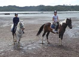 Have the best kids birthday party ever at rainbow's end theme park in auckland, nz! Top 10 Horseback Riding Tours In Auckland North Island