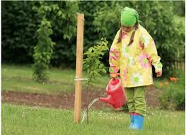 Maybe you would like to learn more about one of these? 7 Ø·Ø±Ù‚ Ù„Ø­Ù…Ø§ÙŠØ© Ù…Ø²Ø±ÙˆØ¹Ø§ØªÙƒ Ù…Ù† Ø§Ù„ØµÙ‚ÙŠØ¹ Ø§Ù„Ù…ÙØ§Ø¬Ø¦ Ø·Ù‚Ø³ Ø§Ù„Ø¹Ø±Ø¨ Ø·Ù‚Ø³ Ø§Ù„Ø¹Ø±Ø¨